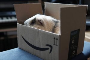 Amazon y multa millonaria