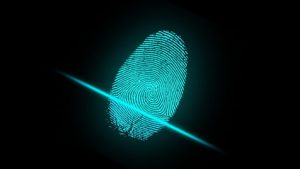 Fingerprinting o huella digital
