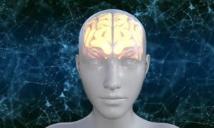 Los neurodatos y la protección legal