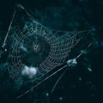 Dark web y tus datos